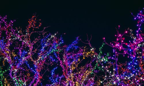 landscape-impressions-christmas-lights-2